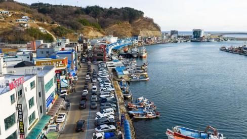 2026. 1. 1 강구항 & 7번 국도 사진