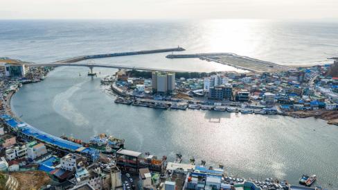 2026. 1. 1 강구항 & 7번 국도 사진