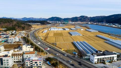 2026. 1. 1 강구항 & 7번 국도 사진