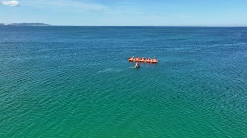 2025. 8. 19 대진해수욕장 청소년 해양 스포츠 사진