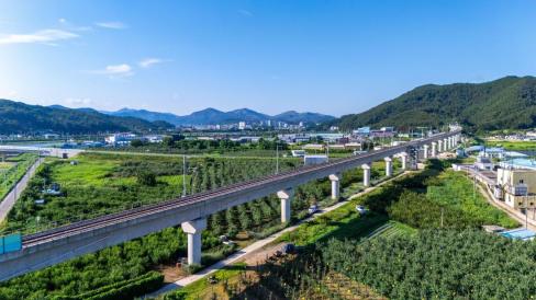 2025. 8월 영덕읍 동해선 철도