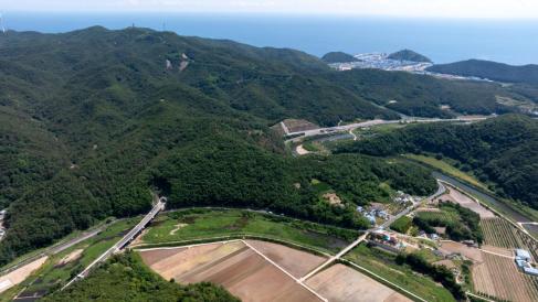 2024. 6. 3 도곡-축산간 도로 사진
