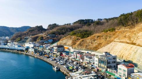 2026. 1월 강구항 사진