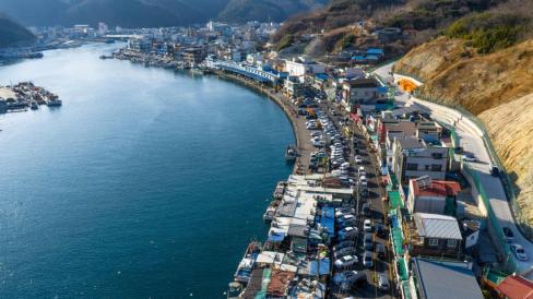 2026. 1월 강구항 사진