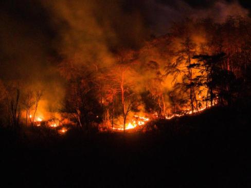 2026. 2. 23 축산면 칠성리 산불