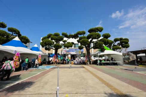 2026. 3. 6 병곡면 제17회 면민화합 윷놀이대회