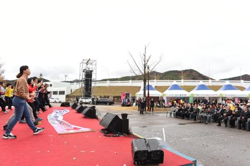 2015. 11. 14 2015 영덕군 자원봉사 박람회