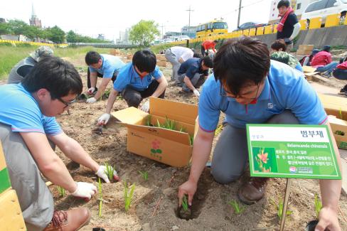 2013. 6. 5 제18회 환경의 날 기념 녹색생활실천 행사 사진