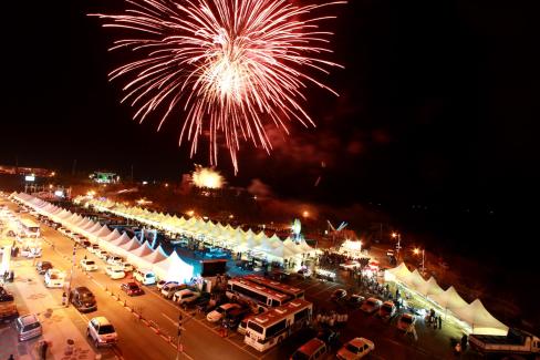 2009 경북대종타종식 및 2010 해맞이축제 사진