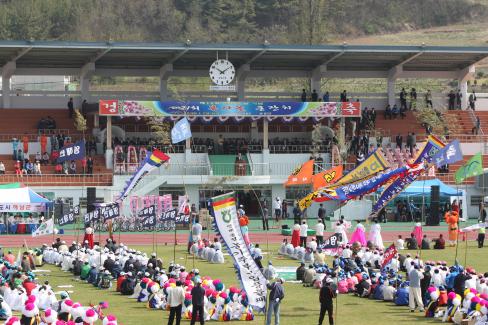 2009 제12회 군민의 날 기념식 및 제21회 복사꽃 큰잔치