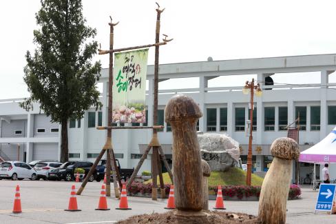 2017 영덕 송이장터