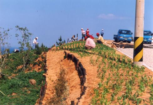 1999~2000 산불피해 복구