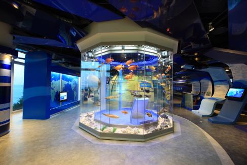 2010 어촌민속전시관 내.외부