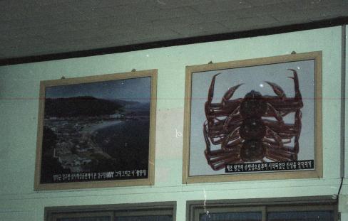 1999년 포항역 홍보 사진