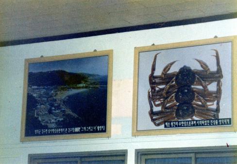 1999년 포항역 홍보 사진