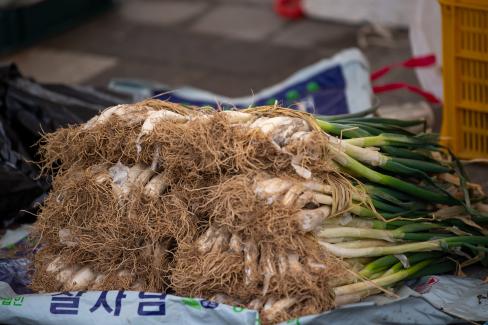 2022 1. 24 영덕시장 장날 전경