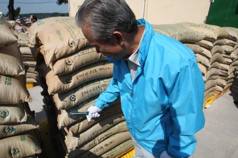 2009. 6. 26 보리수매현장(병곡농협)