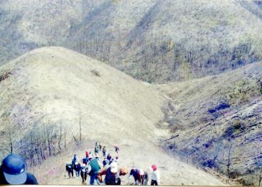 2000. 4월 영덕 창포리 및 삼계리 산불 피해지역 식목일 행사