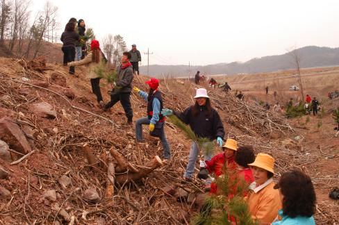 2004. 3. 25 제59회 식목일 행사