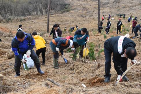 2016. 3. 25 제71회 식목일 행사 사진