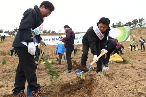 2016. 3. 25 제71회 식목일 행사 사진