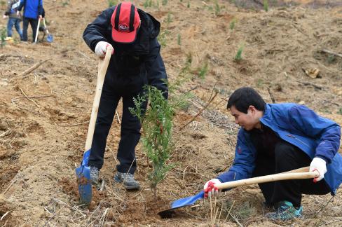 2016. 3. 25 제71회 식목일 행사 사진