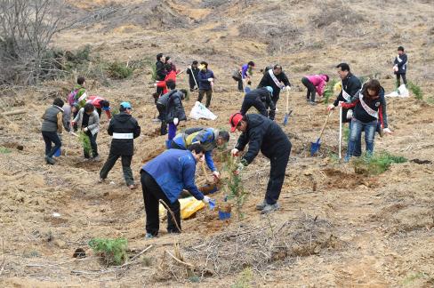 2016. 3. 25 제71회 식목일 행사 사진
