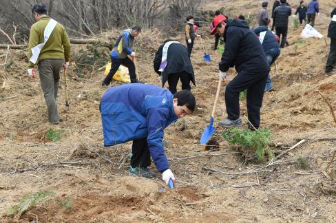 2016. 3. 25 제71회 식목일 행사 사진