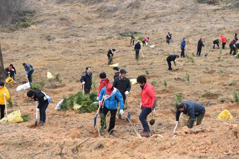 2016. 3. 25 제71회 식목일 행사 사진