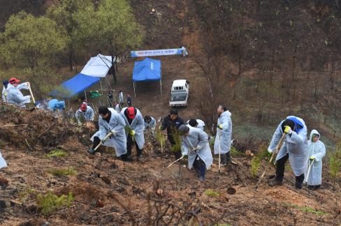 2017. 3. 31 제72회 식목일 행사 사진
