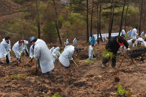 2017. 3. 31 제72회 식목일 행사 사진