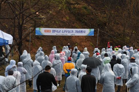 2017. 3. 31 제72회 식목일 행사 사진