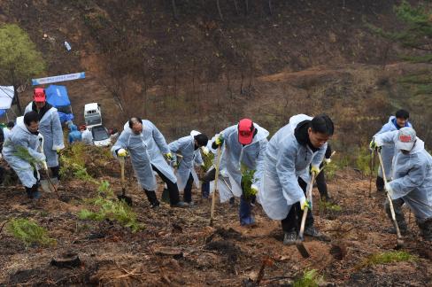 2017. 3. 31 제72회 식목일 행사 사진