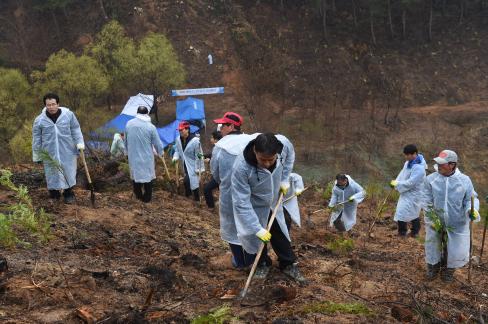 2017. 3. 31 제72회 식목일 행사 사진