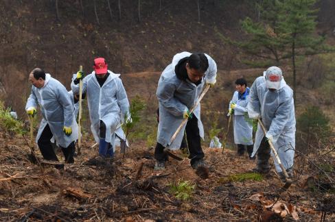 2017. 3. 31 제72회 식목일 행사 사진