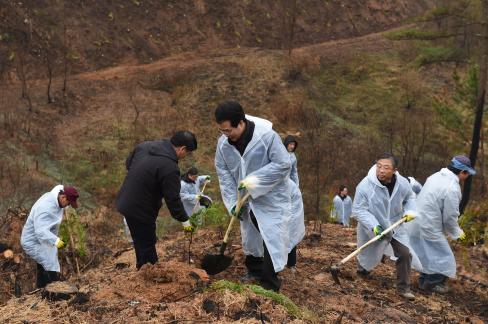 2017. 3. 31 제72회 식목일 행사 사진