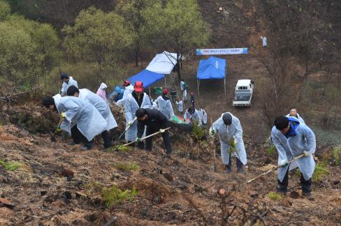 2017. 3. 31 제72회 식목일 행사 사진