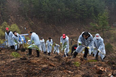 2017. 3. 31 제72회 식목일 행사 사진
