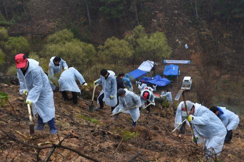 2017. 3. 31 제72회 식목일 행사 사진
