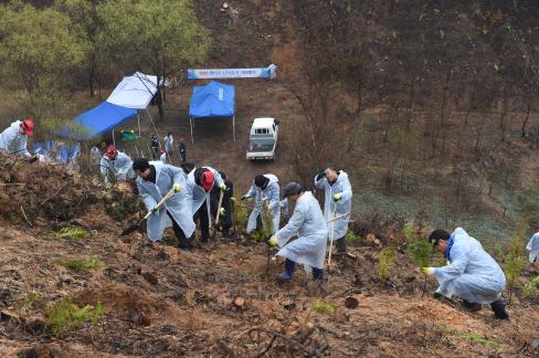 2017. 3. 31 제72회 식목일 행사 사진