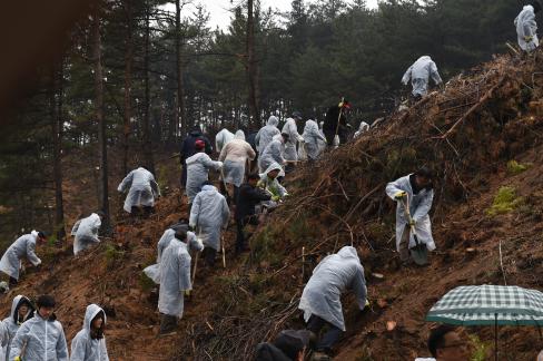 2017. 3. 31 제72회 식목일 행사 사진