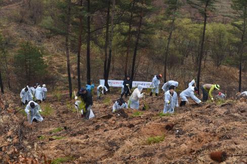 2017. 3. 31 제72회 식목일 행사 사진