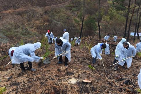 2017. 3. 31 제72회 식목일 행사 사진
