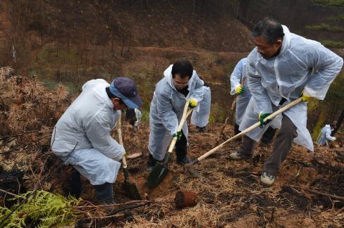 2017. 3. 31 제72회 식목일 행사 사진