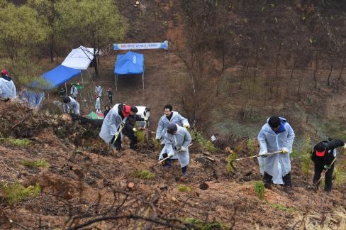 2017. 3. 31 제72회 식목일 행사 사진