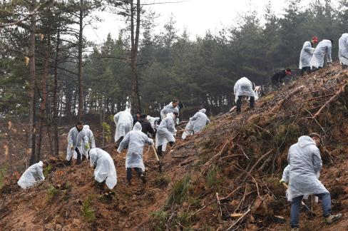 2017. 3. 31 제72회 식목일 행사 사진