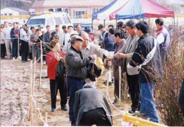 2002. 3. 29~30 나무나누어주기 행사