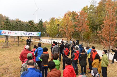 2015. 11. 6 숲가꾸기의 날 행사 사진
