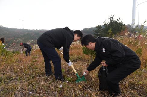 2015. 11. 6 숲가꾸기의 날 행사 사진