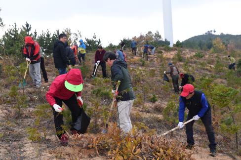 2015. 11. 6 숲가꾸기의 날 행사 사진